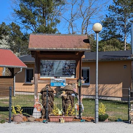 Spreewaldhaeuser Golinski Mit Kamin Am Neuendorfer See Alt Schadow Bagian luar foto