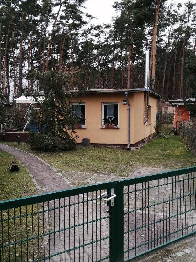 Spreewaldhaeuser Golinski Mit Kamin Am Neuendorfer See Alt Schadow Bagian luar foto