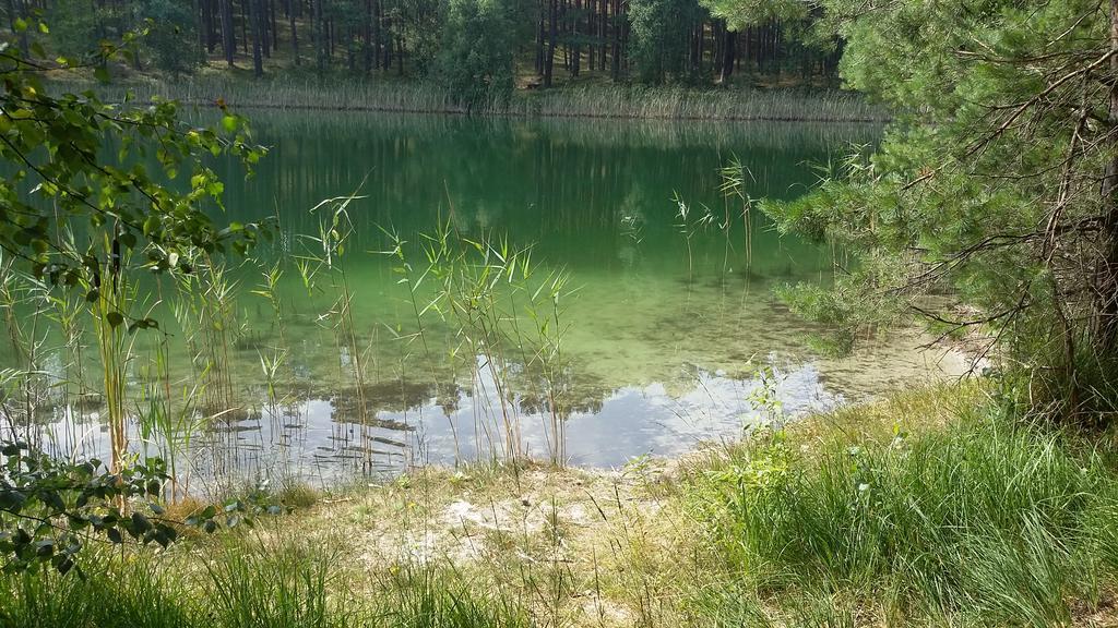 Spreewaldhaeuser Golinski Mit Kamin Am Neuendorfer See Alt Schadow Bagian luar foto