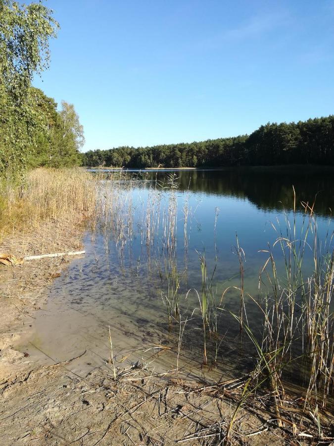 Spreewaldhaeuser Golinski Mit Kamin Am Neuendorfer See Alt Schadow Bagian luar foto